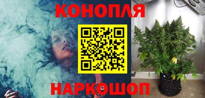 прущие грибы Заволжье