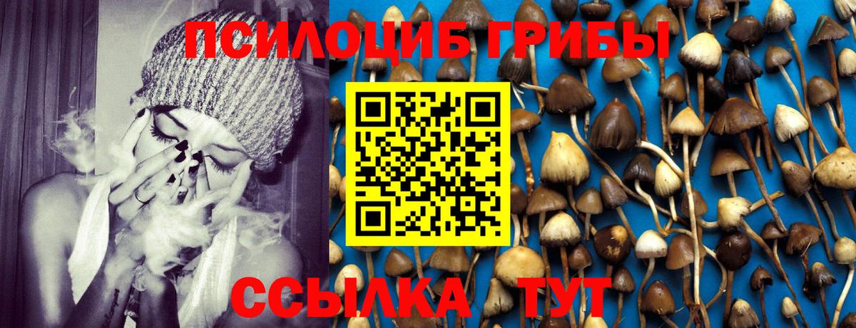 Галлюциногенные грибы MAGIC MUSHROOMS  Вход с VPN  Лангепас  Галлюциногенные грибы Magic Shrooms 