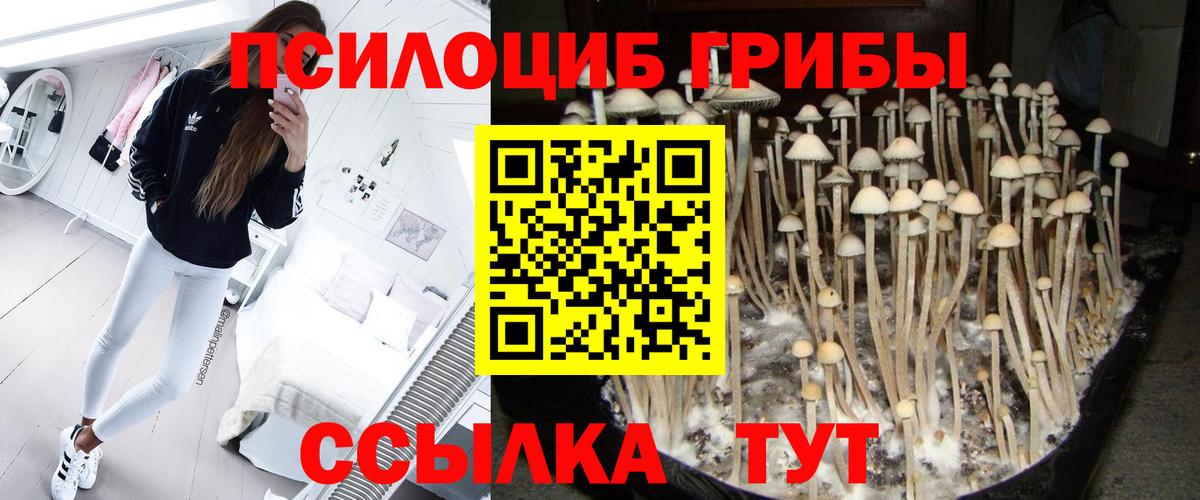 Галлюциногенные грибы ЛСД Лангепас